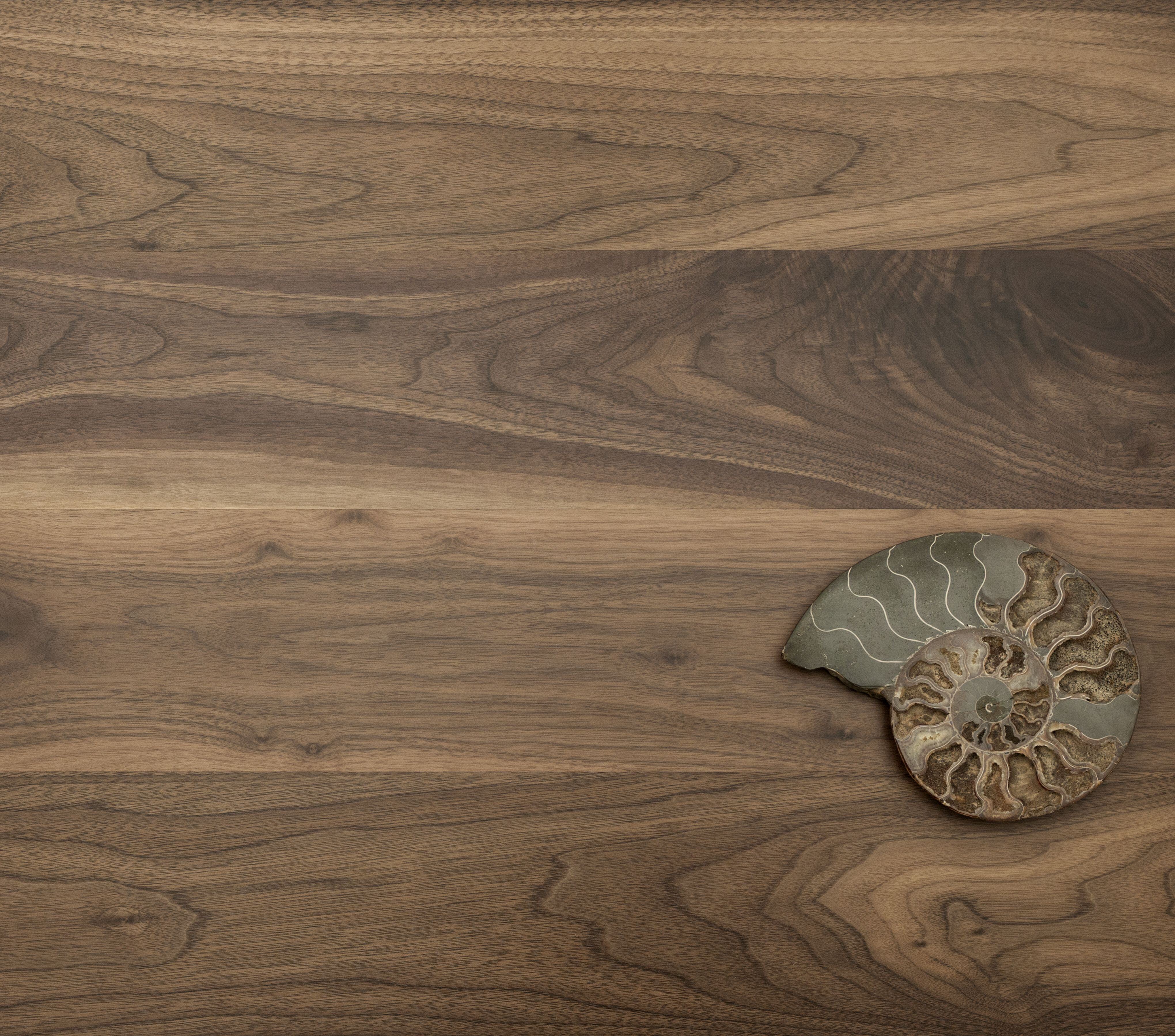 walnut shell